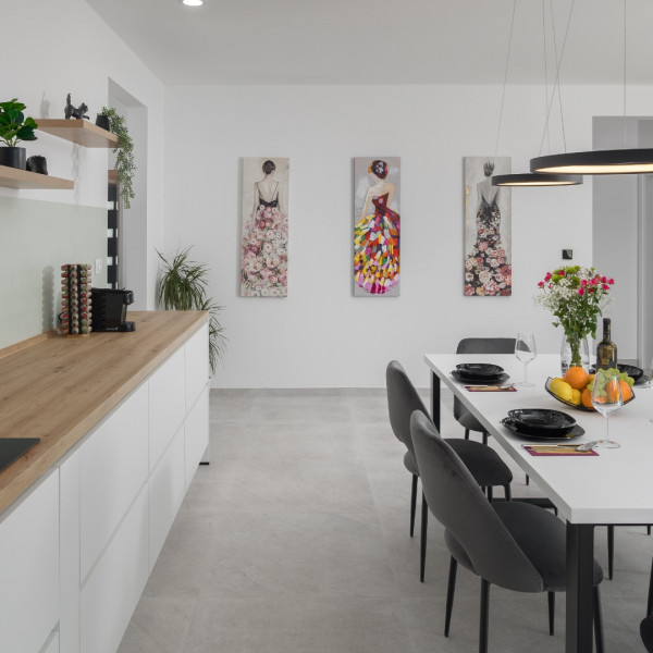 Kitchen, Villa Leda , Villa Leda Sveti Petar u &Scaron;umi